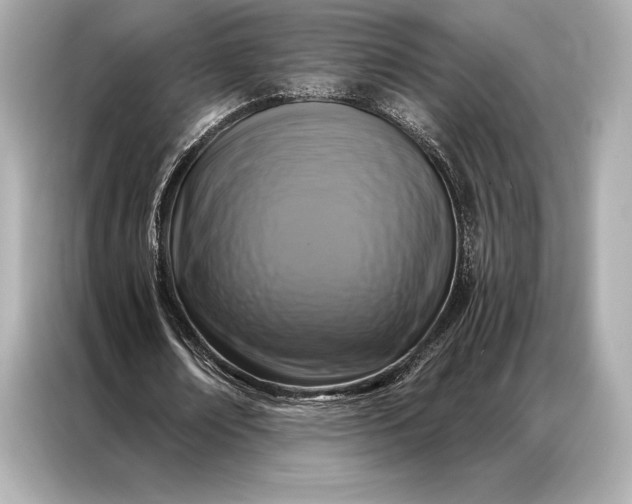 X0000086950674200704301218