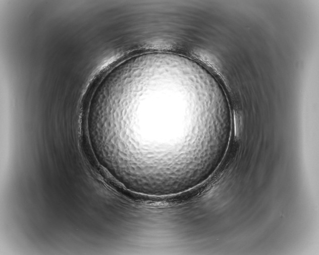 X0000086950675200704301218