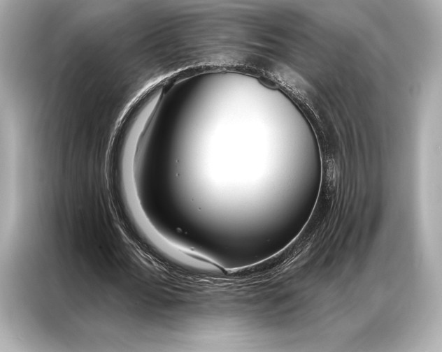 X0000086950676200704301218