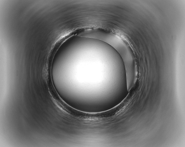 X0000086950677200704301218