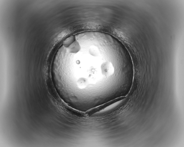 X0000086950679200704301218