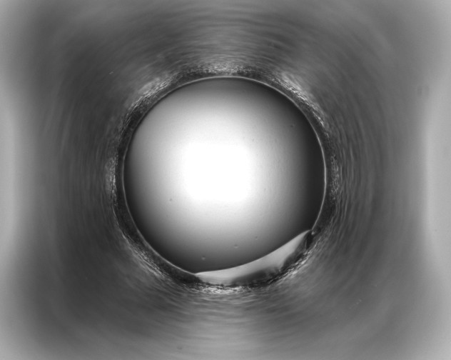 X0000086950681200704301218