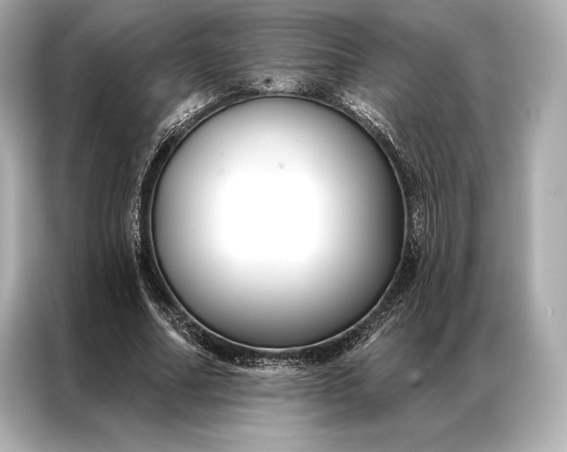 X0000086950682200704301218