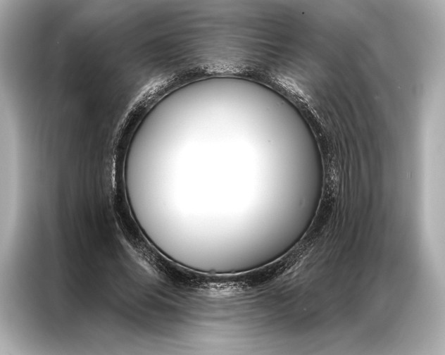 X0000086950686200704301218