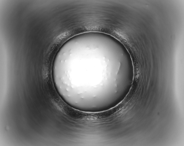 X0000086950687200704301218