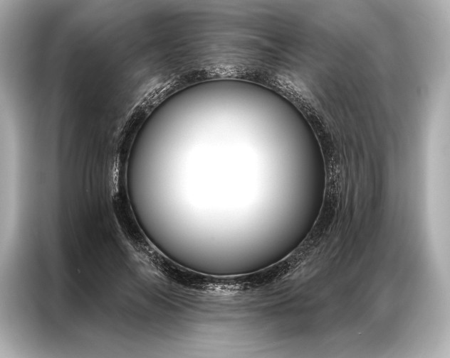 X0000086950694200704301218