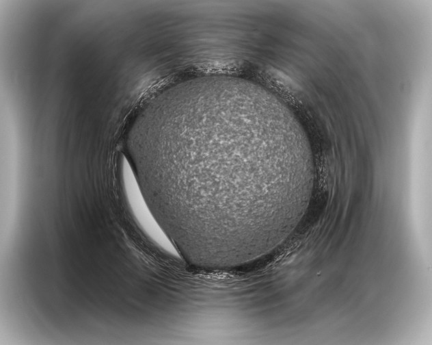 X0000086950695200704301218