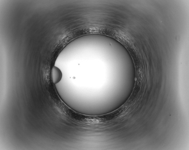 X0000086950698200704301218