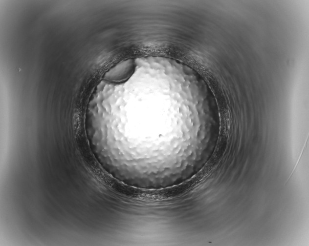 X0000086950699200704301218