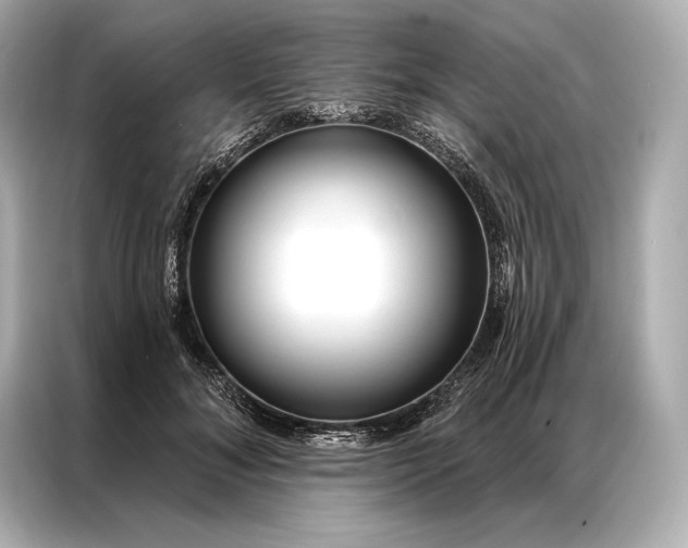 X0000086950700200704301218