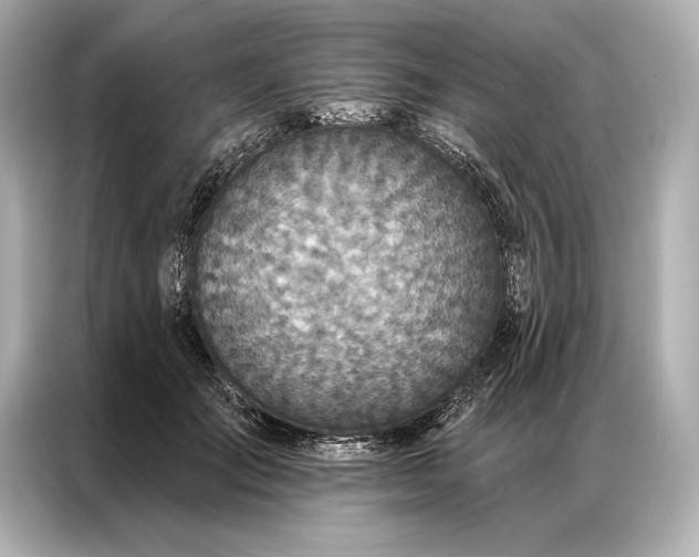 X0000086950701200704301218