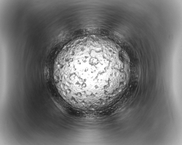 X0000086950703200704301218