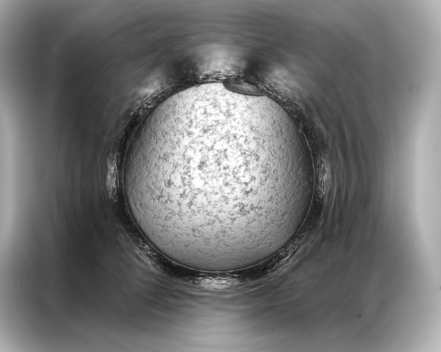 X0000086950708200704301218