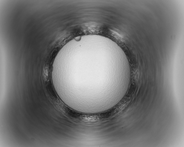 X0000086950709200704301218