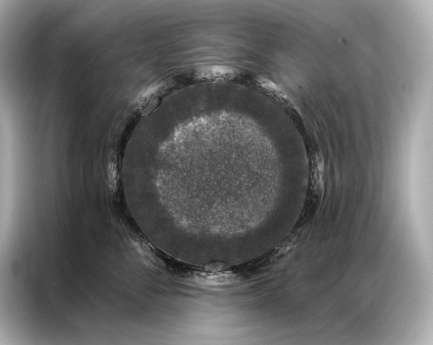 X0000086950716200704301217