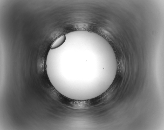 X0000086950717200704301217