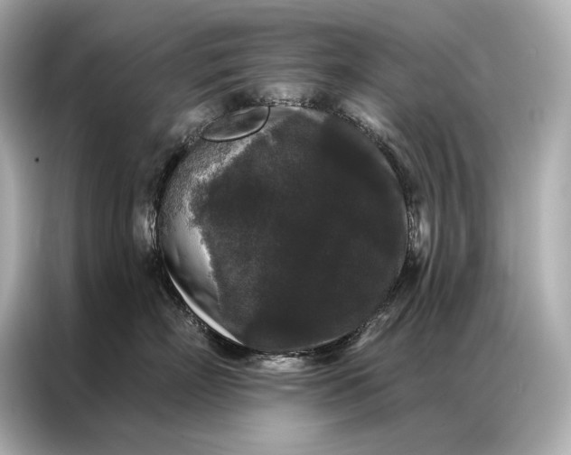 X0000086950718200704301217