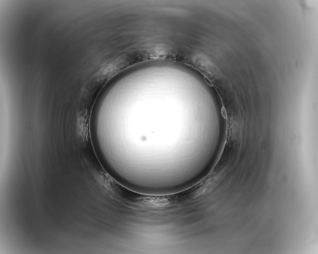 X0000086950719200704301217