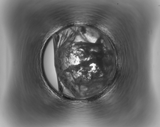 X0000086950721200704301217