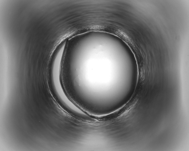 X0000086950725200704301217