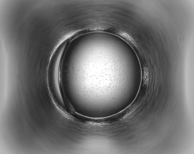 X0000086950726200704301217