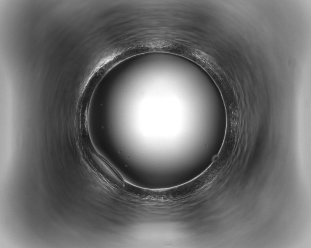 X0000086950727200704301217