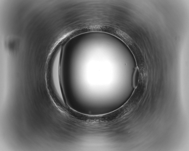 X0000086950728200704301217