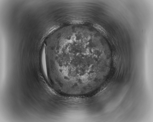 X0000086950729200704301217