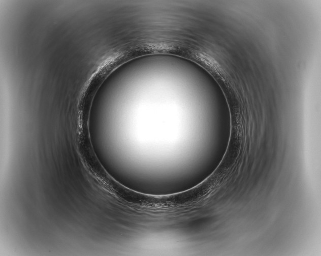 X0000086950731200704301217