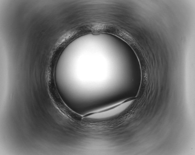 X0000086950732200704301217