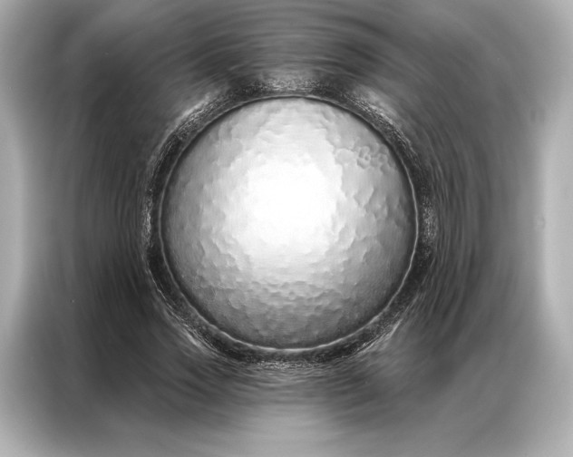 X0000086950733200704301217