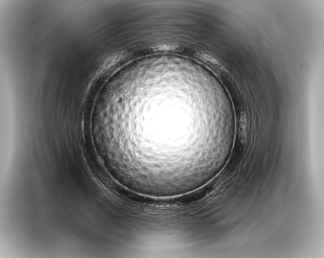 X0000086950734200704301217