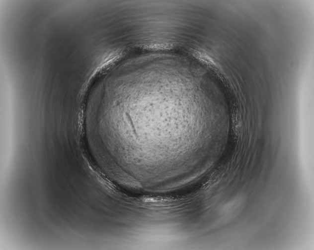 X0000086950735200704301217