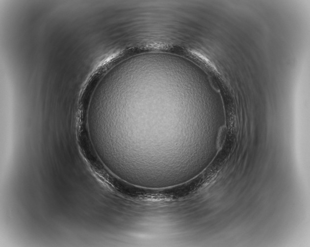 X0000086950736200704301217