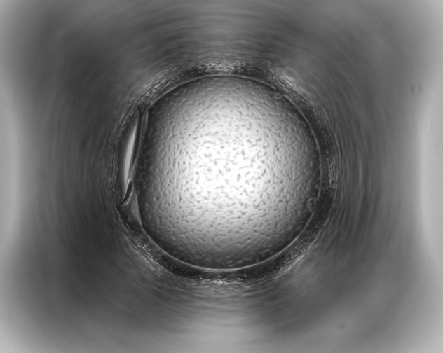 X0000086950737200704301217