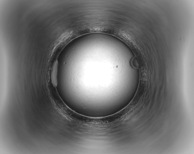 X0000086950738200704301217