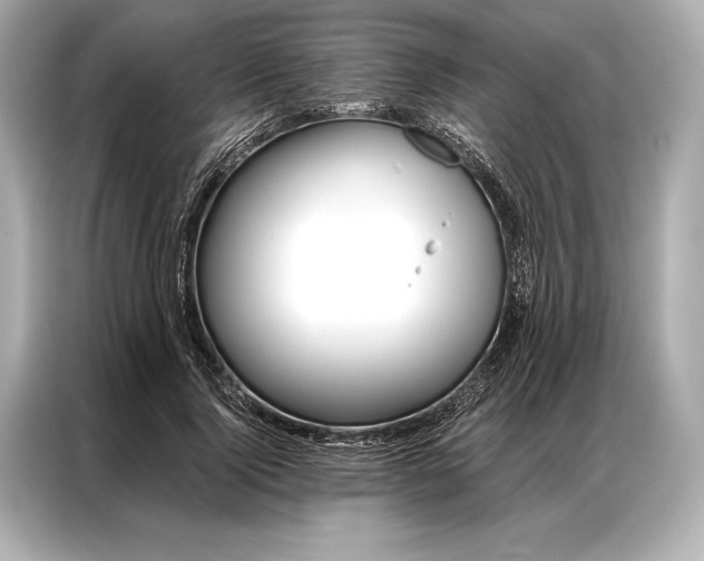 X0000086950740200704301217