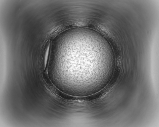 X0000086950741200704301217