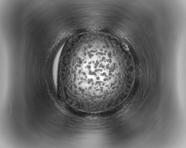 X0000086950742200704301217