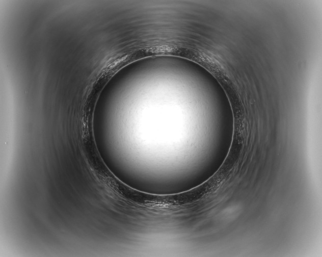 X0000086950743200704301217