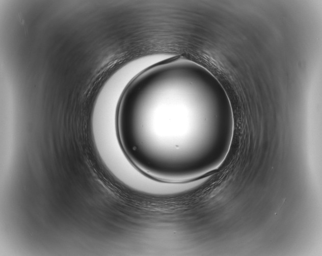 X0000086950744200704301217