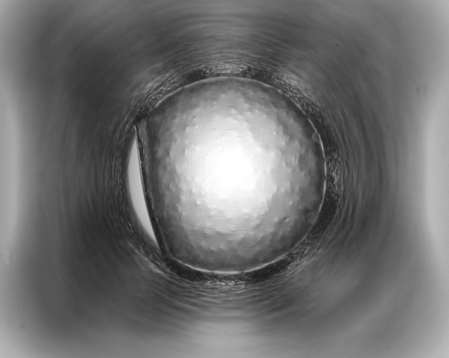 X0000086950745200704301217