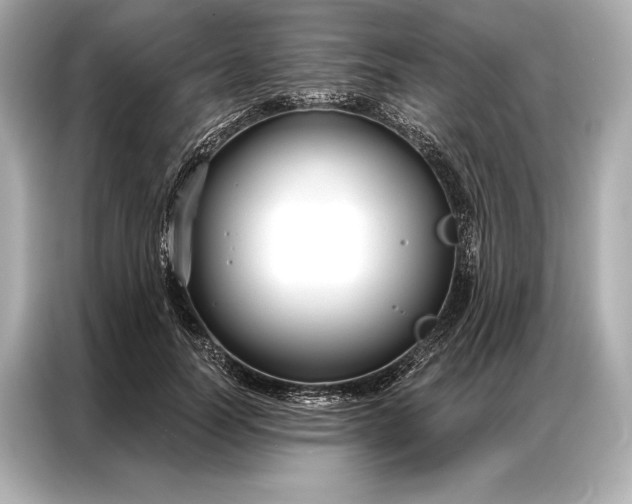 X0000086950746200704301217