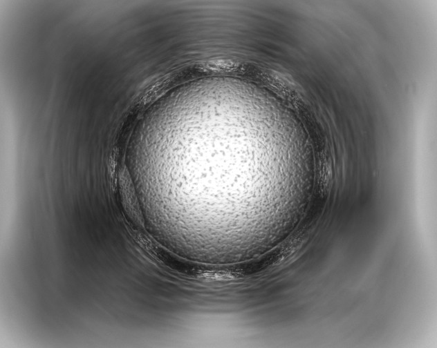 X0000086950749200704301217