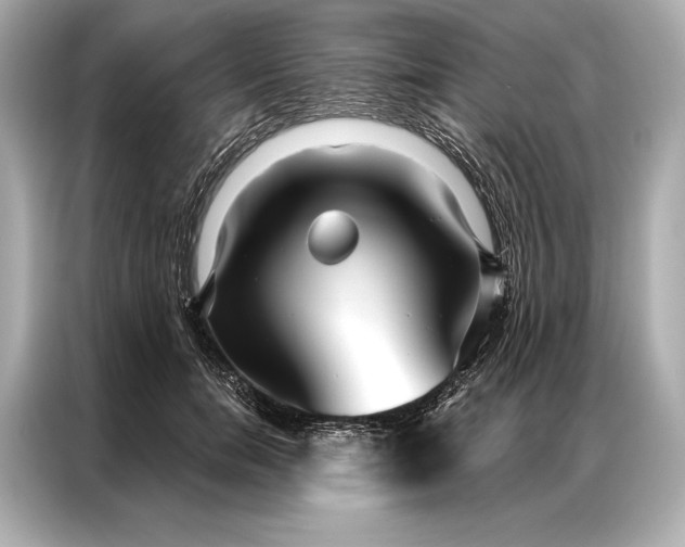 X0000086950750200704301217