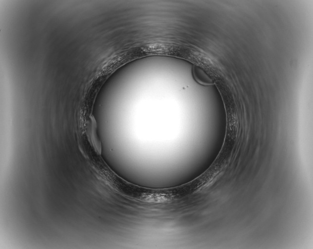 X0000086950751200704301217