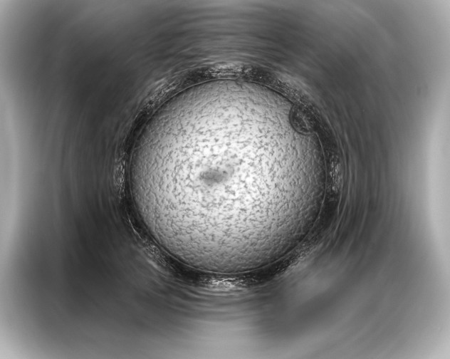 X0000086950753200704301217