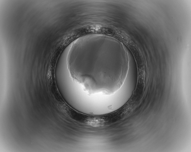 X0000086950754200704301217