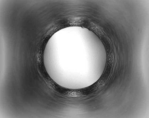 X0000086950755200704301217