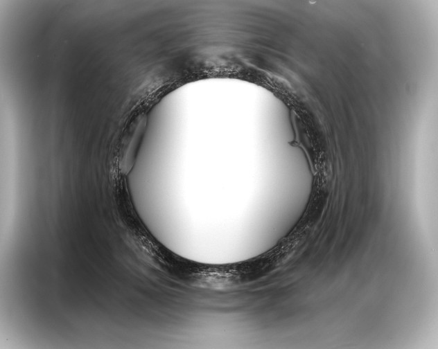 X0000086950756200704301217